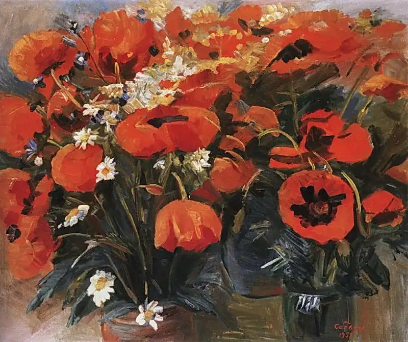 Կակաչներ