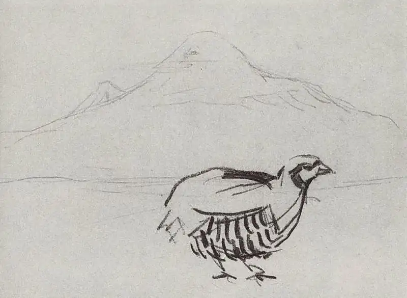 Partridge