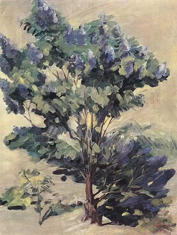 Յասաման