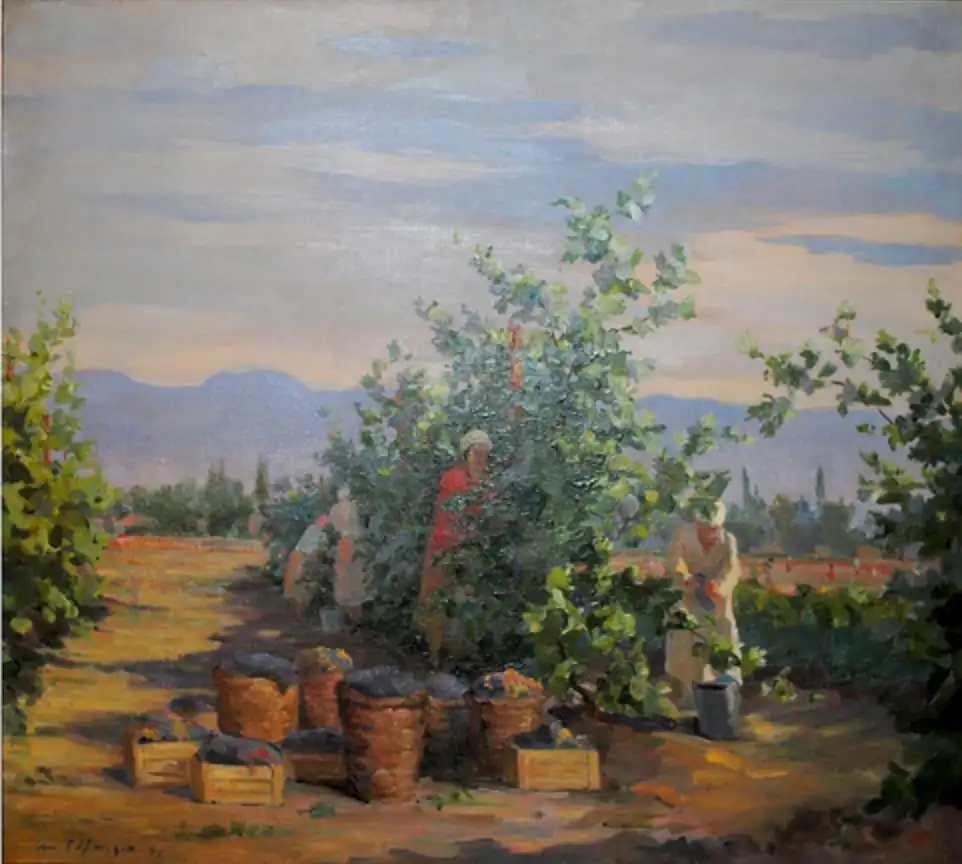 Grape harvest